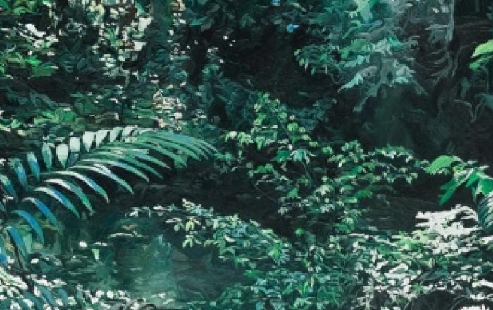 Mostra "La vita continua" di Luca Padroni