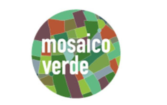 Mosaico Verde convegno