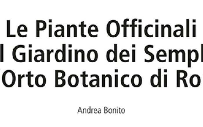 Le Piante Officinali e il Giardino dei Semplici all’Orto Botanico di Roma