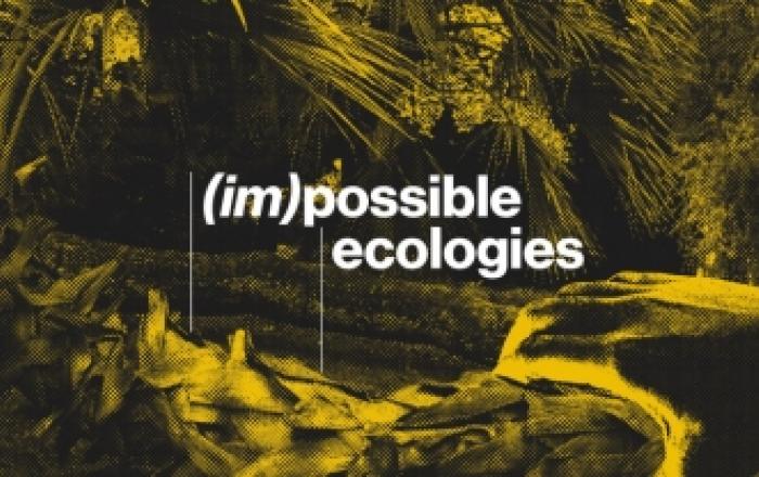 NABA, Nuova Accademia di Belle Arti presenta (Im)possibile Ecologies  la mostra del Dipartimento di Arti Visive all’Orto Botanico di Roma Polo Museale Sapienza dal 20 al 26 giugno 2022