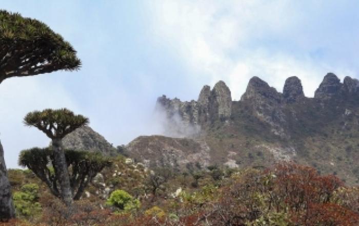 21st International Socotra Conference and Annual General Meeting of the Friends of Socotra