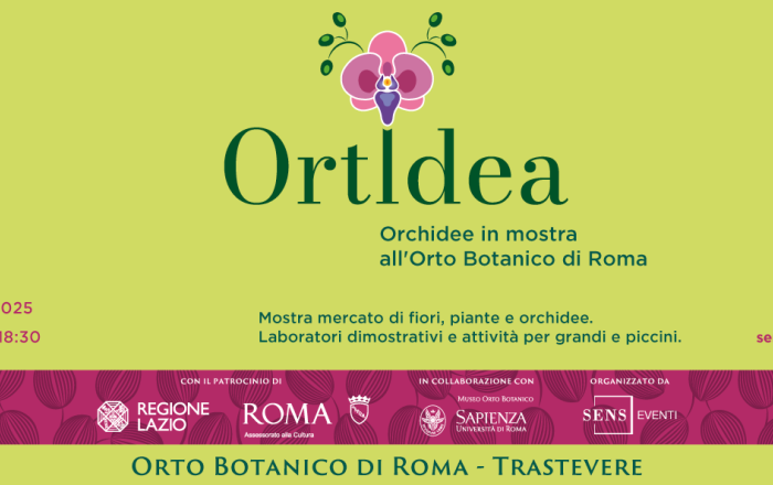 Ortidea