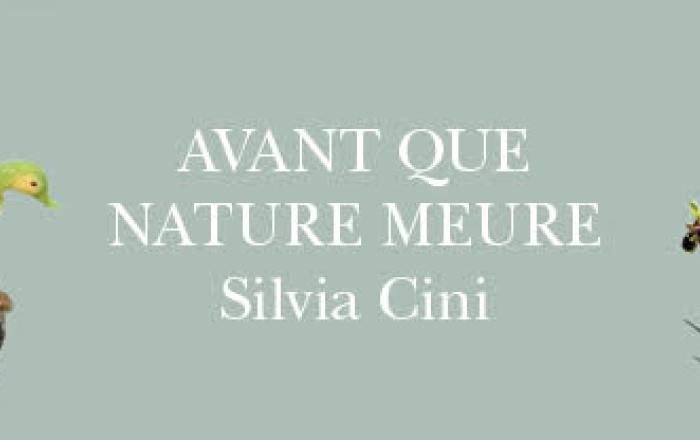 AVANT QUE NATURE MEURE DI SILVIA CINI ALL' ELTE BOTANICAL GARDEN DI BUDAPEST  Dal 14 Luglio al 14 Agosto 2023