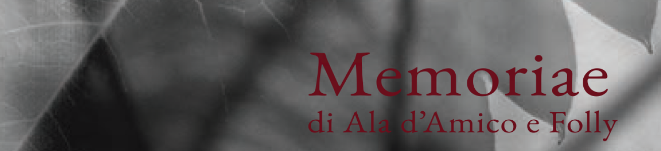  MEMORIAE – ALA D’AMICO & FOLLY 24 APRILE - 12 MAGGIO 2024