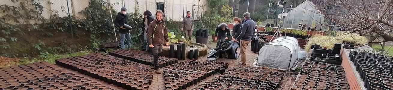 Vivaio forestale dell'Orto