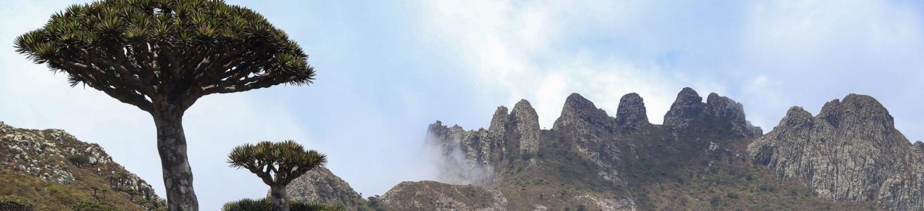 21st International Socotra Conference and Annual General Meeting of the Friends of Socotra