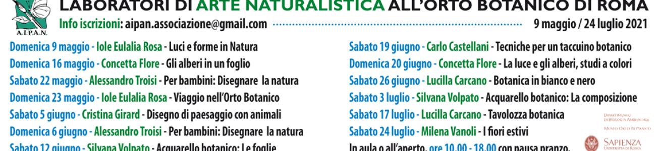 Laboratori di arte naturalistica dell'Aipan all'Orto Botanico di Roma. Dal 9 maggio al 24 luglio 2021